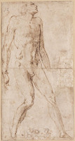 A+ 054
<br/>
Staand mannelijk naakt
<br/>
<em>Berruguete, Alonso (ca.1486-1561) - toegeschreven aan</em>